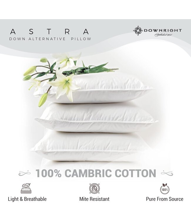 Downright Astra Down Alternative Euro Pillow