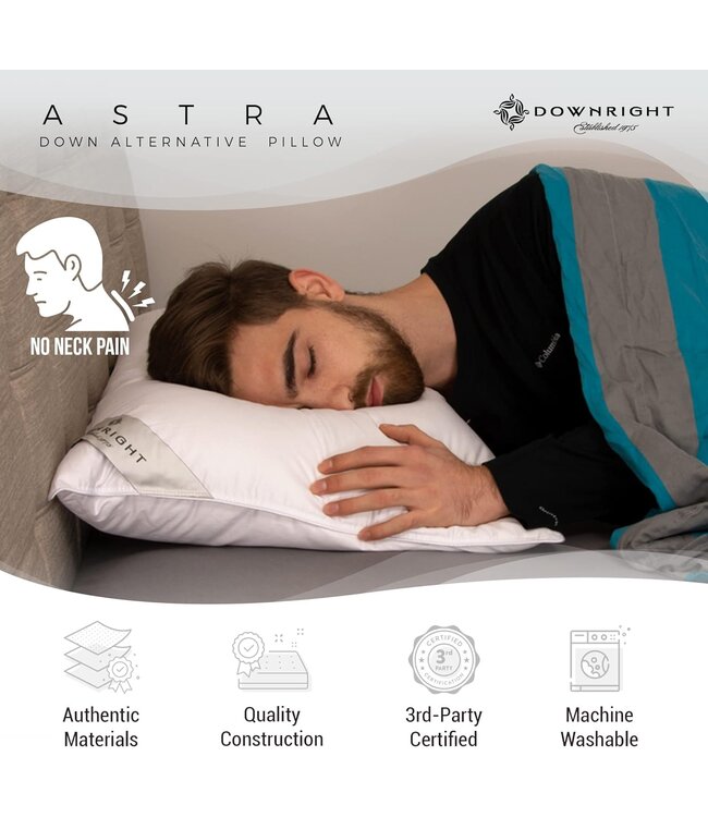 Downright Astra Down Alternative Euro Pillow