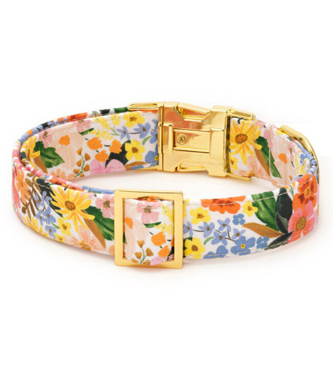 The Foggy Dog Dog Collar