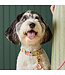 The Foggy Dog Dog Collar