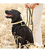 Foggy Dog Marine Rope Dog Leashes