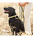 The Foggy Dog Marine Rope Dog Leashes