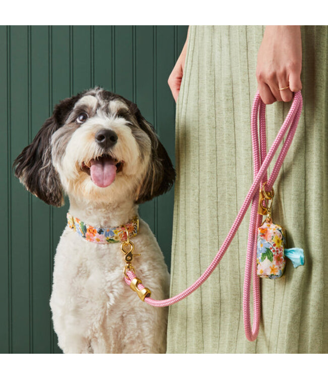 The Foggy Dog Marine Rope Dog Leashes