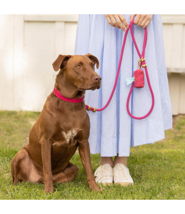 The Foggy Dog Marine Rope Dog Leashes