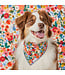 The Foggy Dog Dog Bandanas