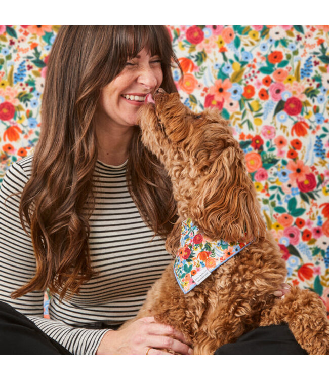The Foggy Dog Dog Bandanas