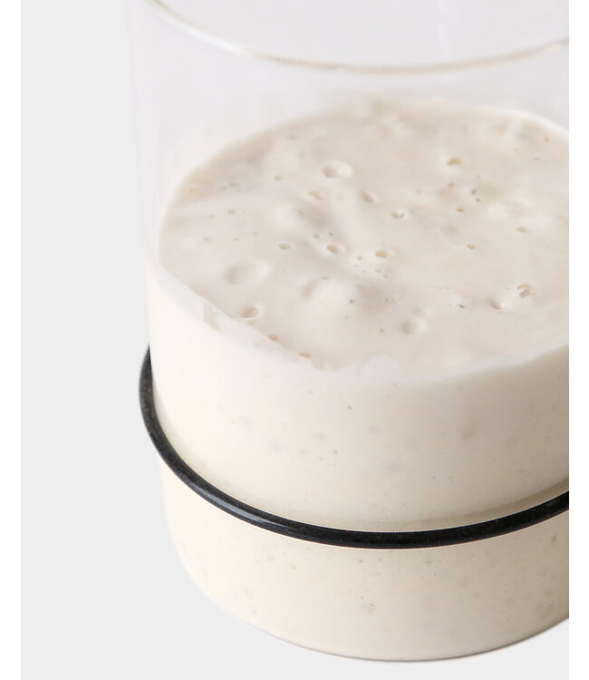 Breadtopia Sourdough Starter Kit