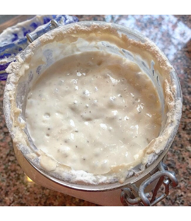 Breadtopia Sourdough Starter