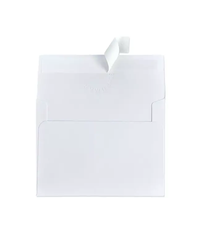 Preppy Lab Balloons Greeting Card