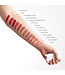 Luk Lip Nourish