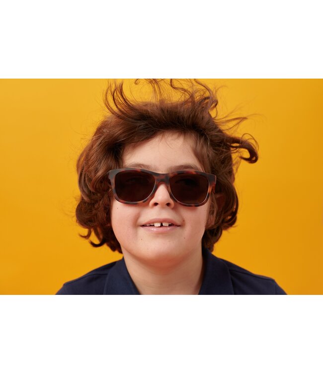 Tortoise Shell Navigators