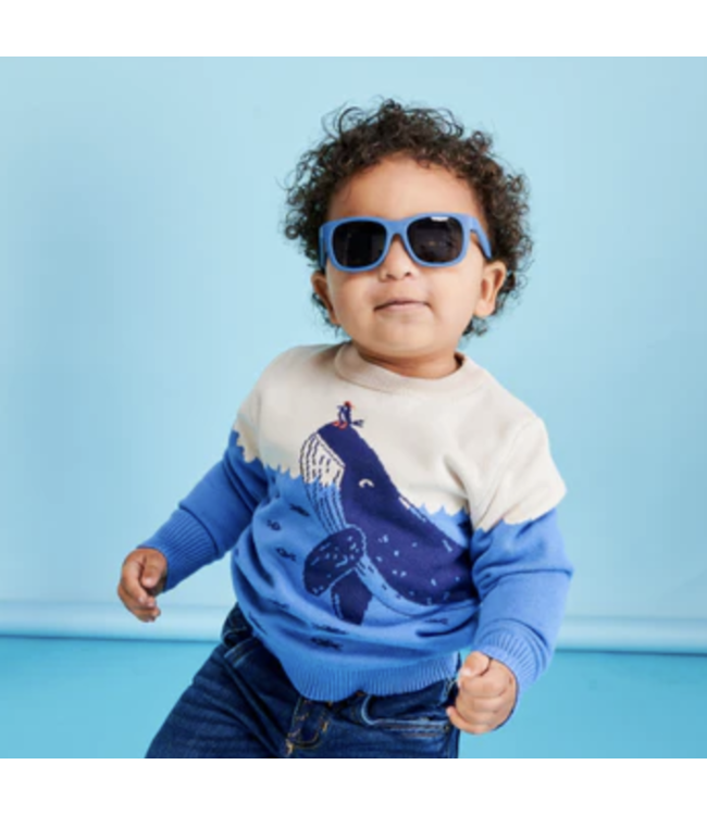 Pacific Blue Eco Navigators