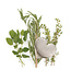 RSVP Heart Herb Stripper