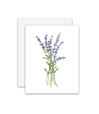 Boise Lavender Card