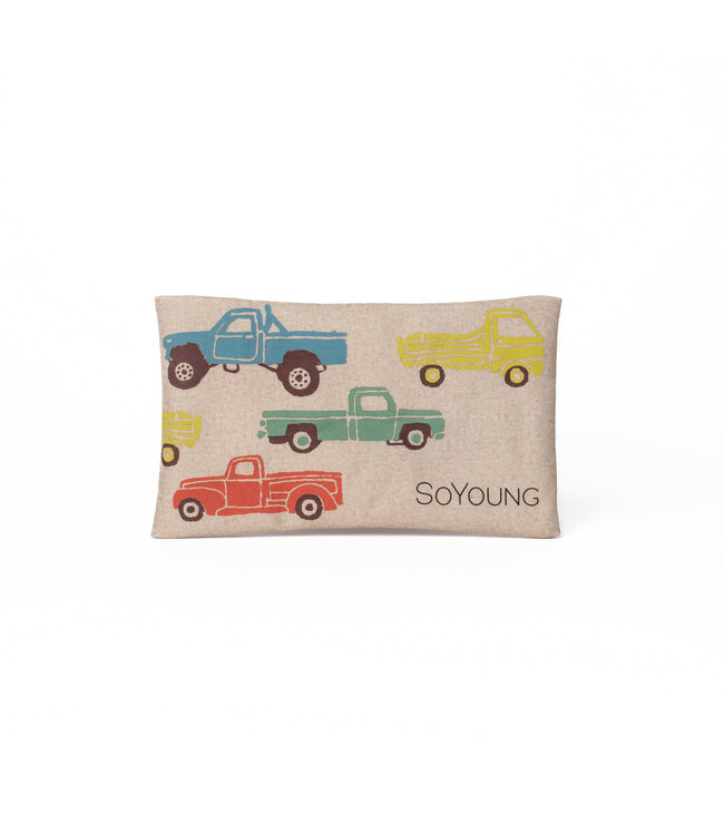 SoYoung Vintage Trucks - Ice Pack