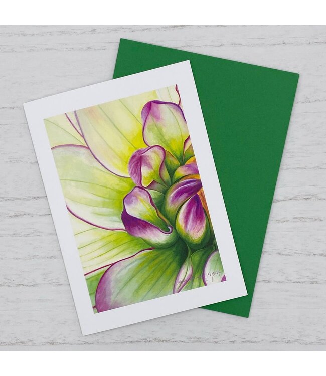 Mary Michola Fibich Cards