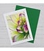 Mary Michola Fibich Cards