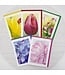 Mary Michola Fibich Cards