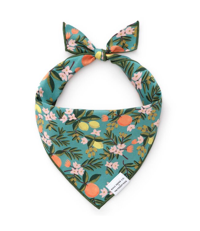 The Foggy Dog Dog Bandana - Small