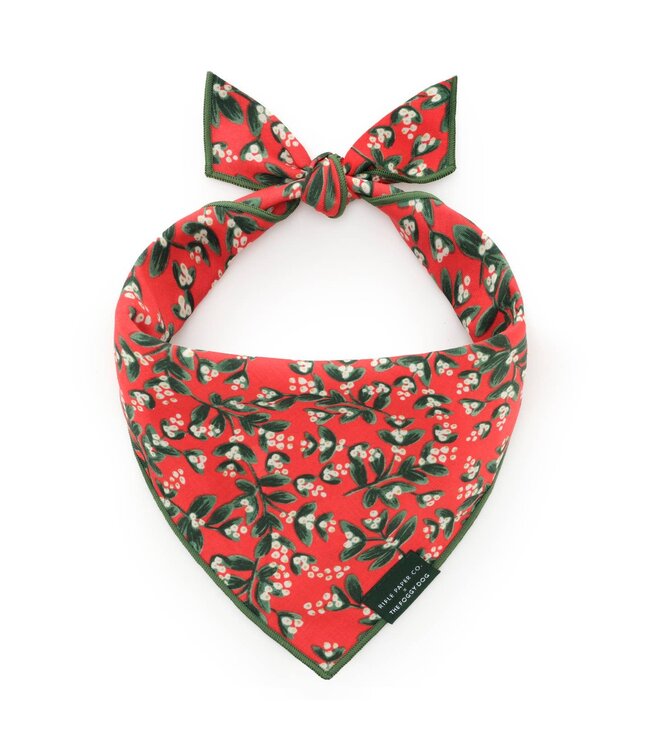 The Foggy Dog Dog Bandana - Small