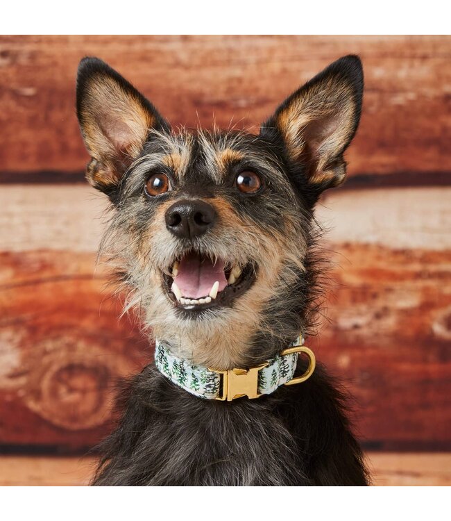 The Foggy Dog Holiday Dog Collars