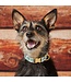 The Foggy Dog Holiday Dog Collars