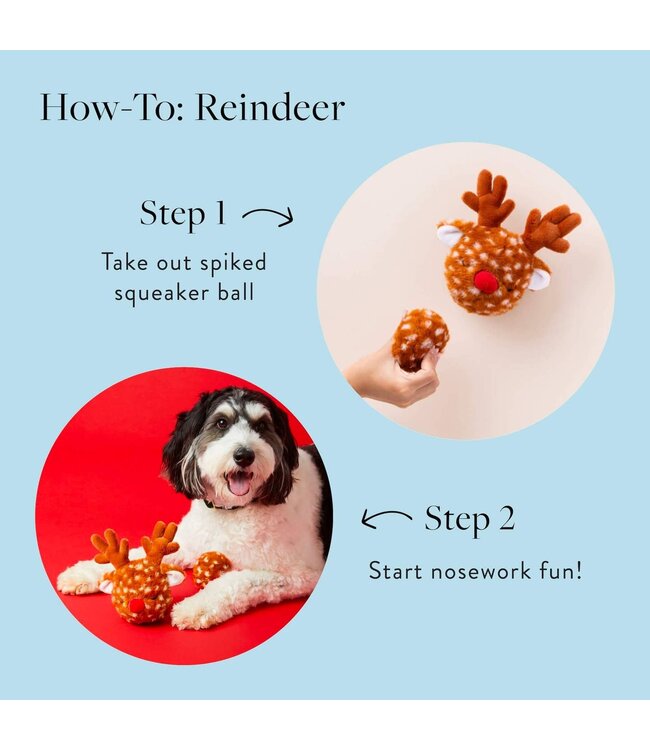 The Foggy Dog Holiday Dog Toys