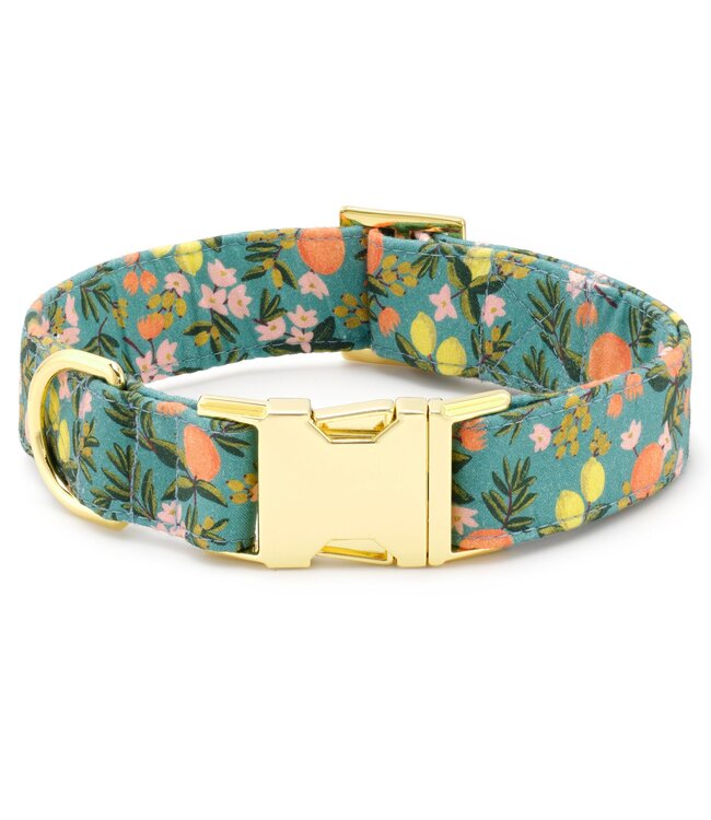 The Foggy Dog Dog Collar