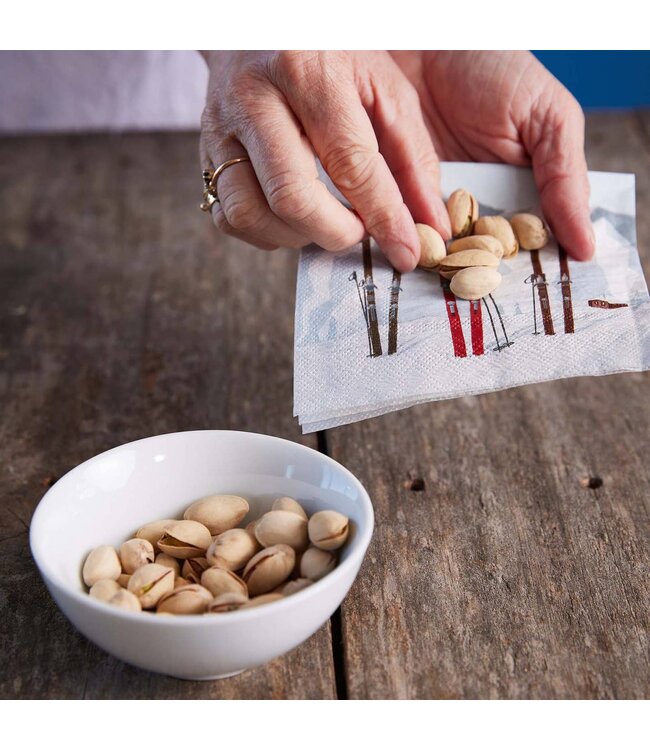 Nordic Ski Paper Napkins