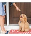 Puppy Love Treat Pan