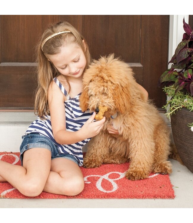 Puppy Love Treat Pan