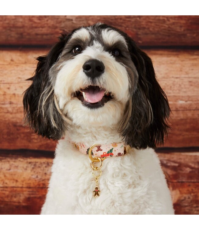 The Foggy Dog Holiday Dog Collars