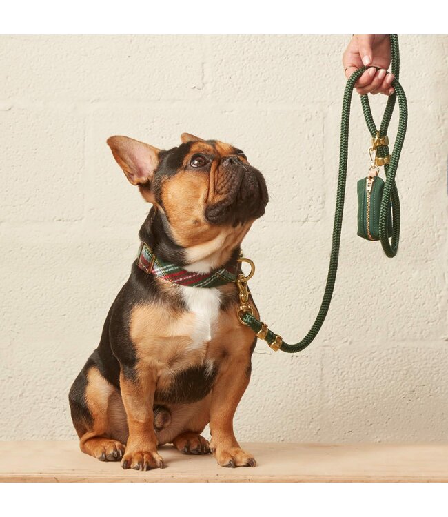 The Foggy Dog Holiday Dog Collars