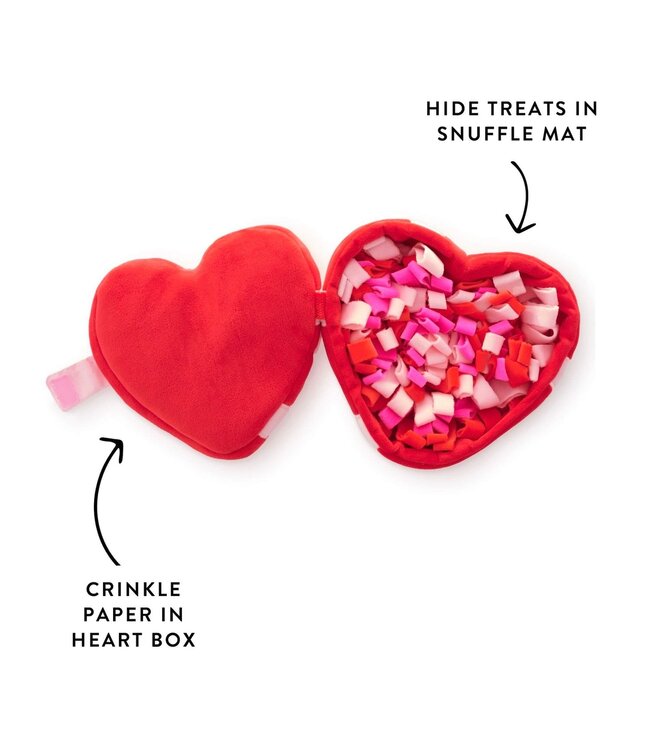 The Foggy Dog Valentine's Dog Toys