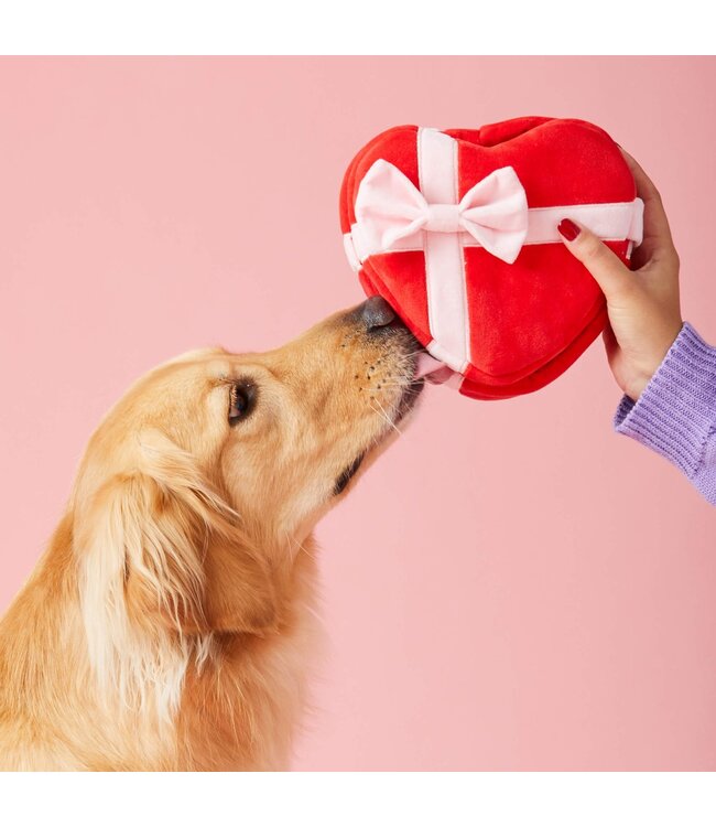 The Foggy Dog Valentine's Dog Toys