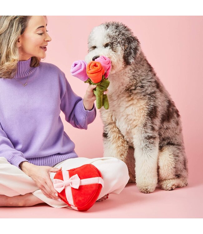 The Foggy Dog Valentine's Dog Toys