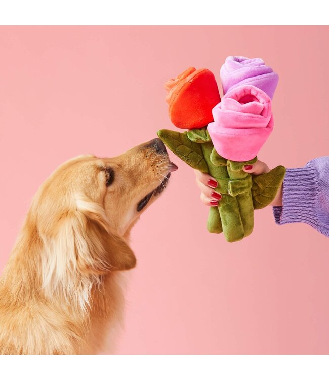 The Foggy Dog Valentine's Dog Toys