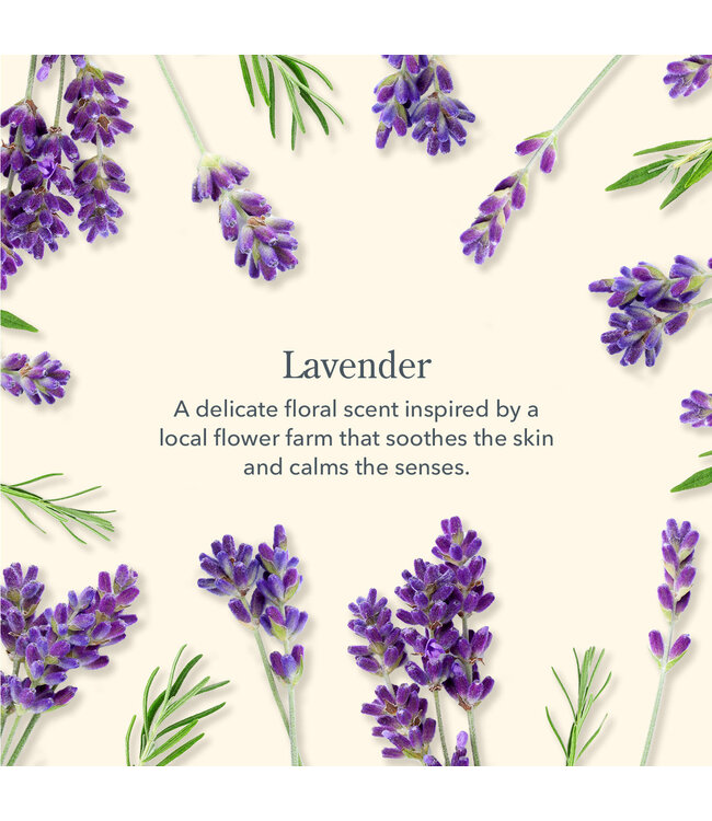 Beekman Lavender Body Lotion