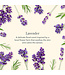 Beekman Lavender Body Lotion