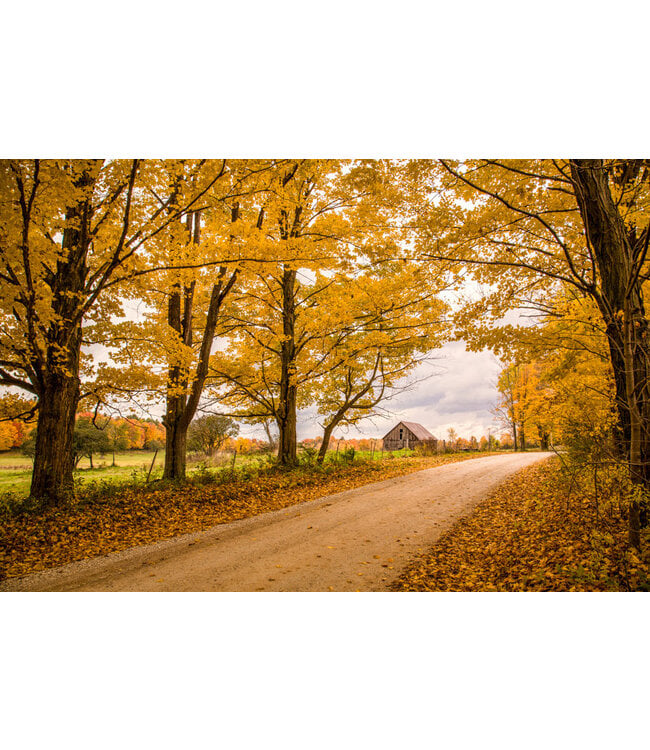 John Geery Prints - Barns (12x16)