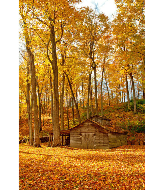 John Geery Prints - Barns (12x16)