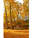 John Geery Prints - Barns (12x16)