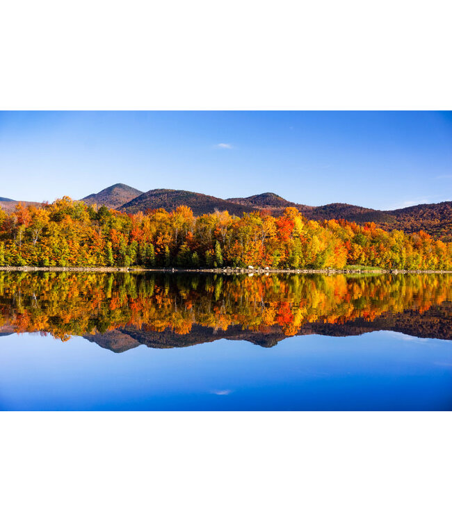 John Geery Prints - Foliage (12x16)