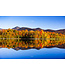 John Geery Prints - Foliage (12x16)