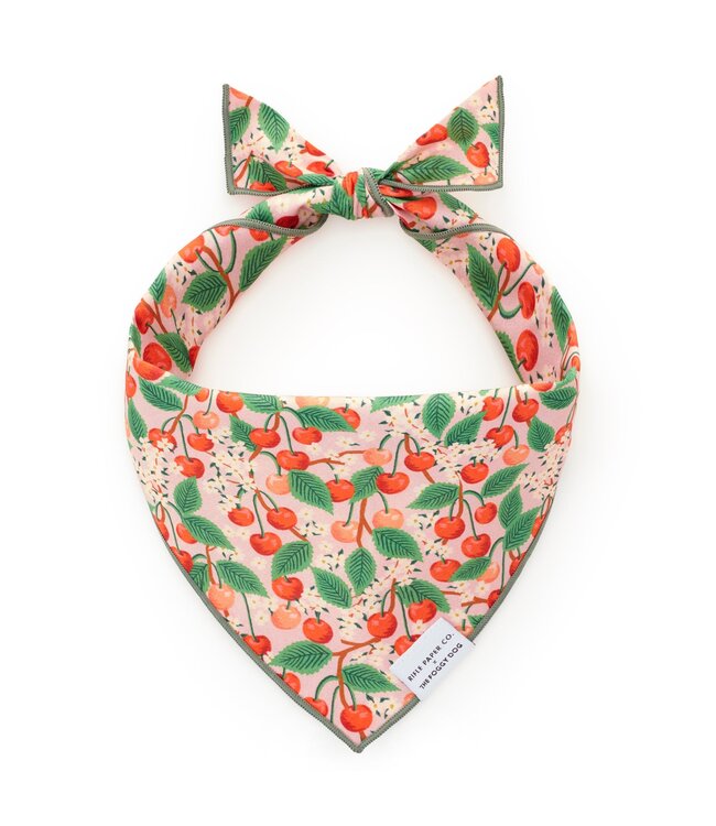 The Foggy Dog Dog Bandana - Large