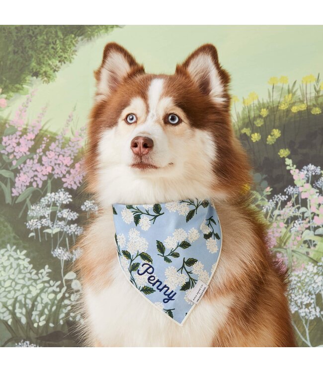 The Foggy Dog Dog Bandana - Large