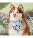 The Foggy Dog Dog Bandana - Large