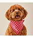 The Foggy Dog Dog Bandana - Small