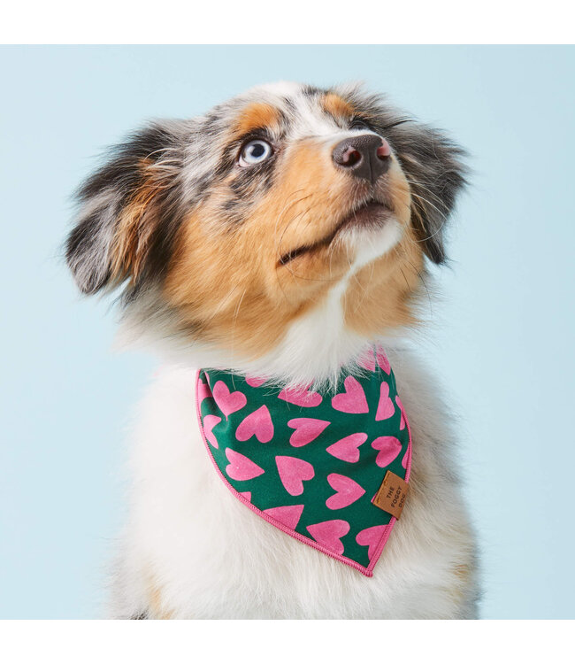 The Foggy Dog Dog Bandana - Medium
