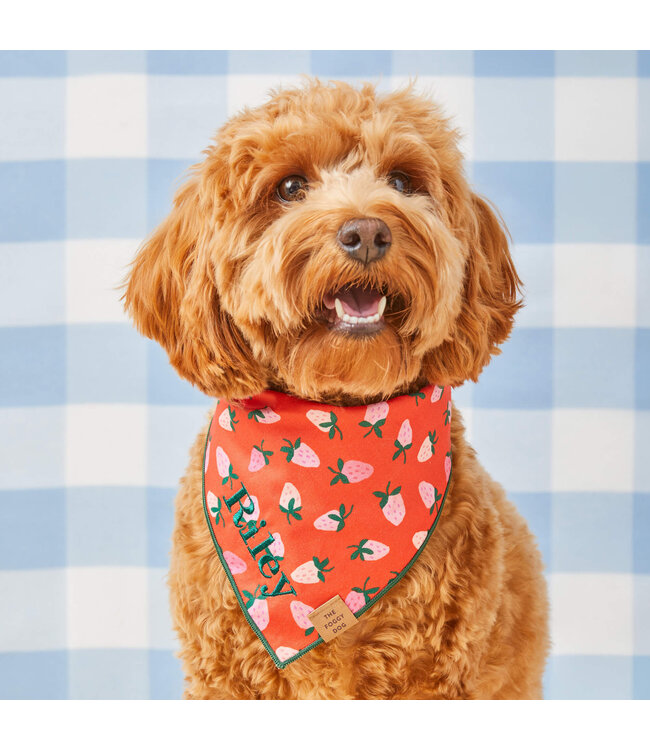 The Foggy Dog Dog Bandana - Medium
